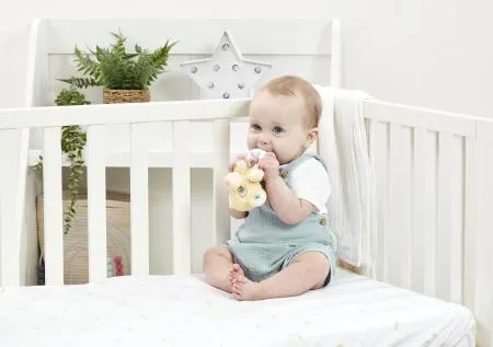Disney Baby Lion King Ring Rattle