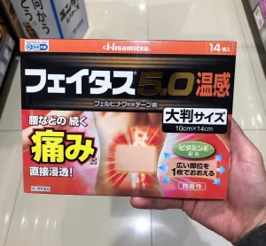 Hisamitsu 5.0 Pain Relief Patch Warm