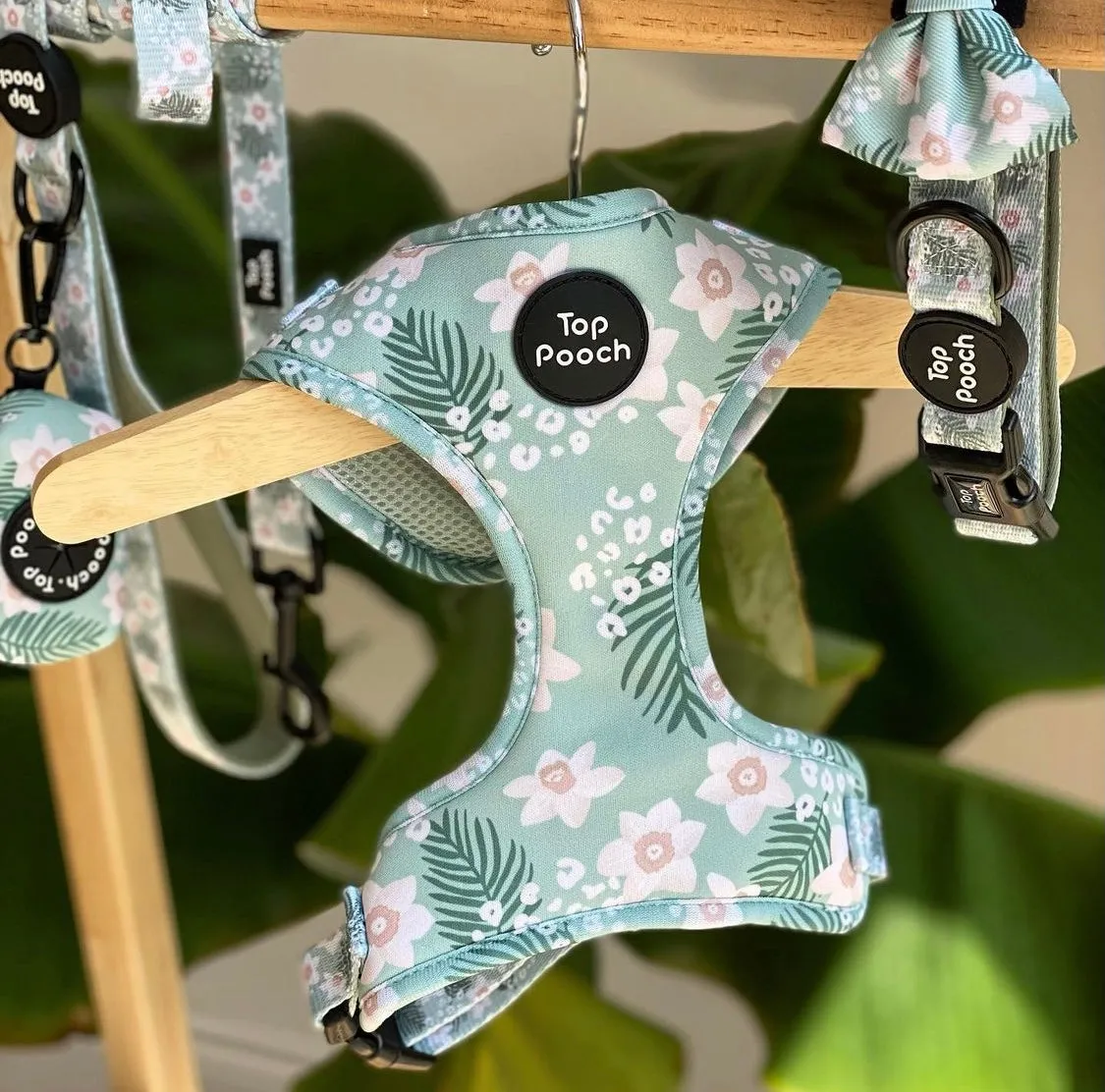 Tropics Dog Harness