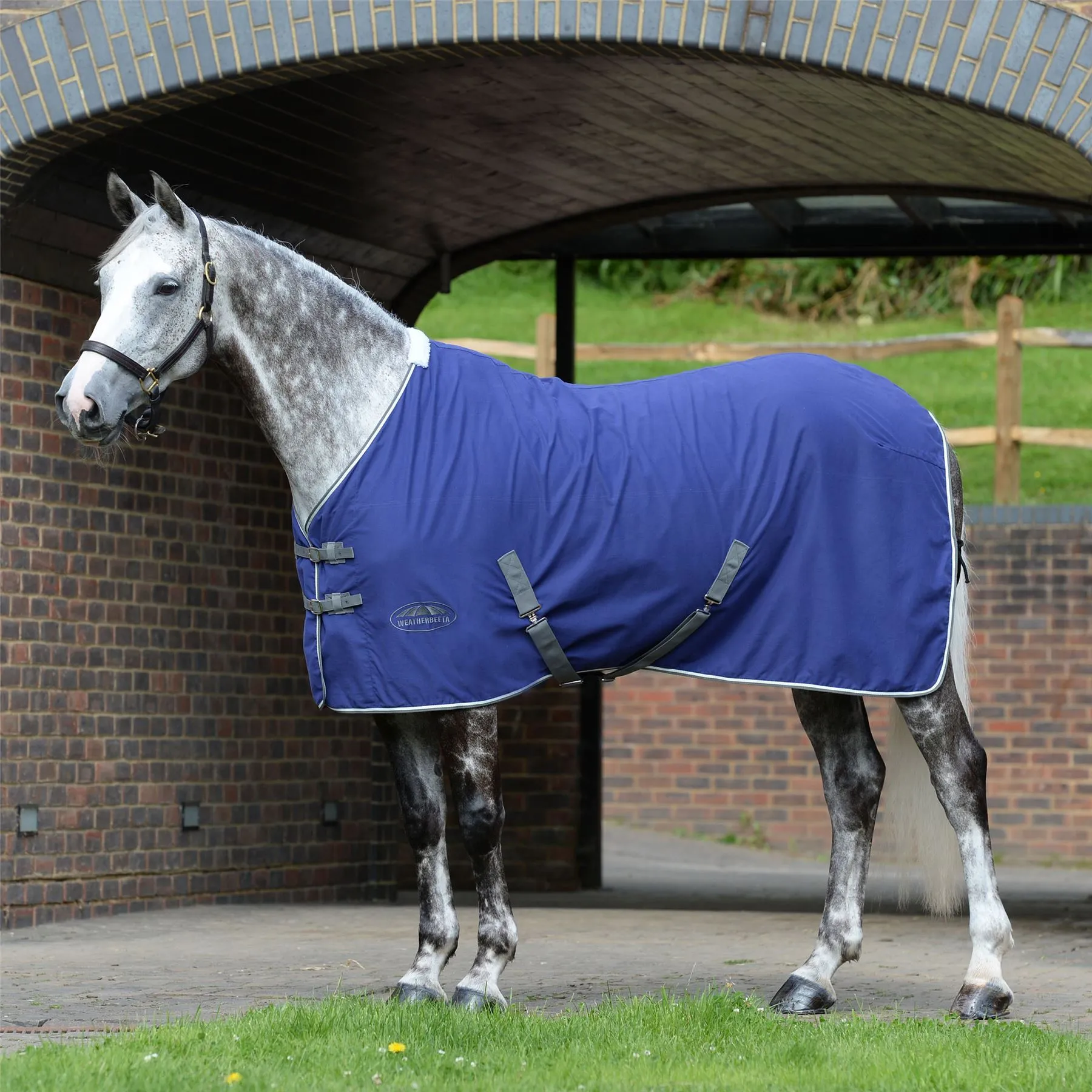 Weatherbeeta Cotton Show Sheet With Surcingles Ii Standard Neck